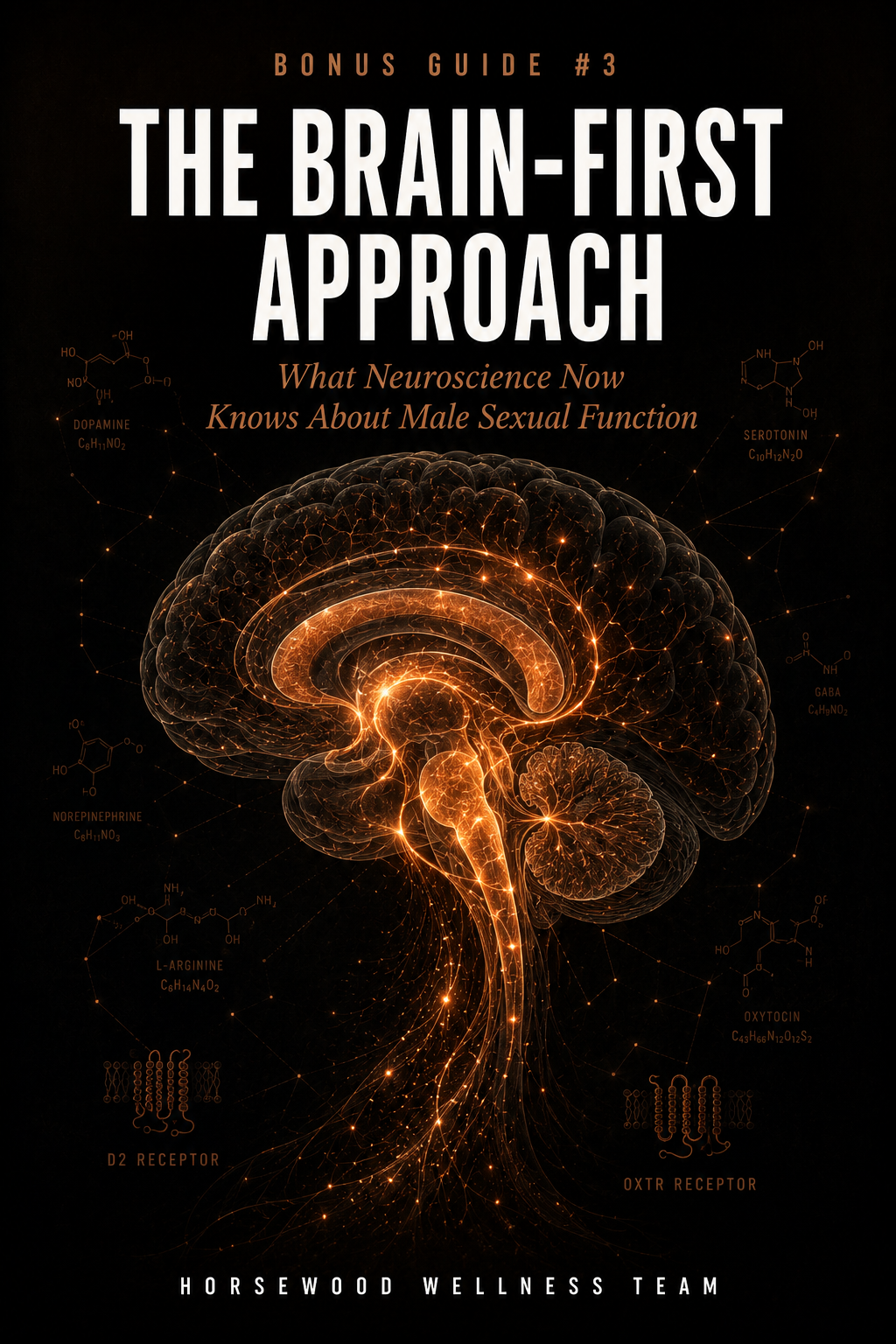 The Confidence Code mental development strategy roadmap